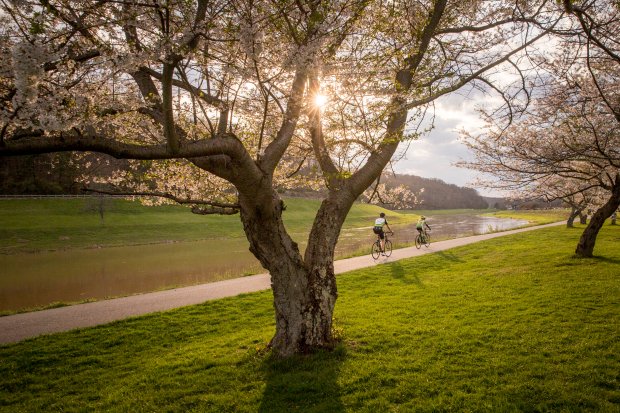Some hiking right across the river from campus; Bike Trail Maps Bike Athens Ohio