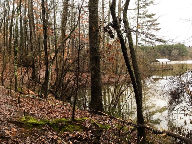 Image Savannah, ga, usa · atlanta, ga, usa · macon, ga, usa · athens, ga, usa · north georgia mountains, georgia 30528, usa · lookout mountain, ga 30750, . Day Trips Atlnature