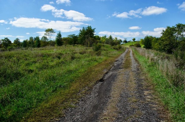 We may earn commission from links on this page, but we only recommend products we back. On The Subject Of Nature Radar Hill And The Ridges